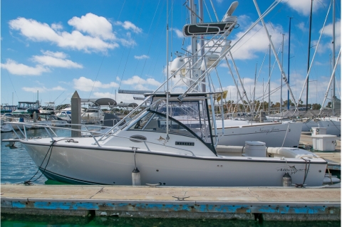 Buy a Boat for Coastal Sport Fishing