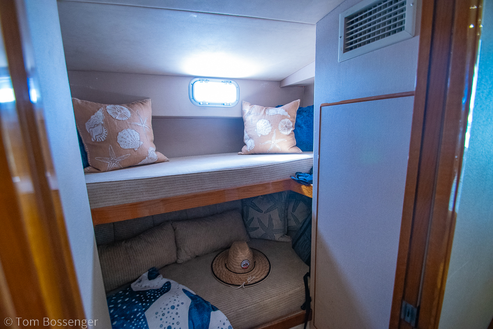 1989 Bertram 50 Convertible Sportfisher