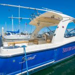 2017 Scout 275 Dorado