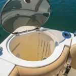 2017 Scout 275 Dorado