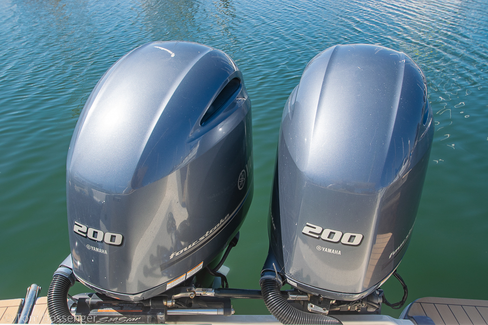 2017 Scout 275 Dorado