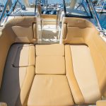 2017 Scout 275 Dorado