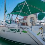 2005 Beneteau Oceanis 423